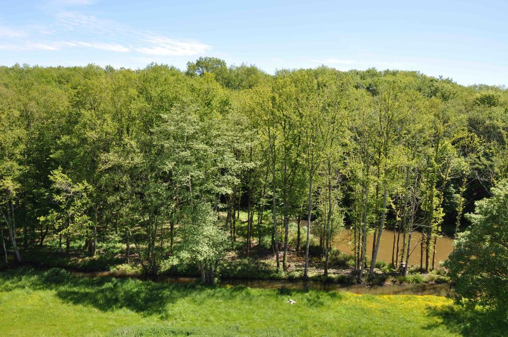 Domaine Du Ris De Feu Chambres D'Hotes De Charme Chalais  Zewnętrze zdjęcie